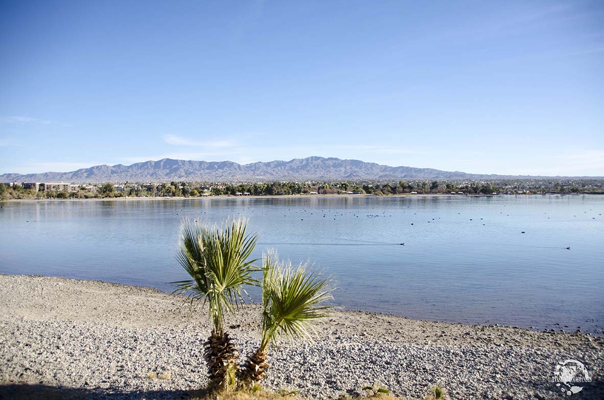 Lake Havasu