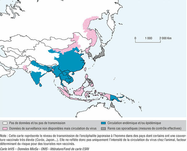 encéphalite japonaise