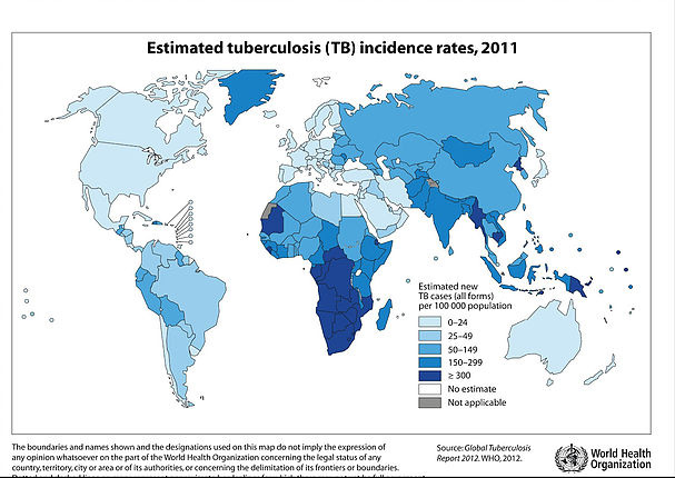 tuberculose