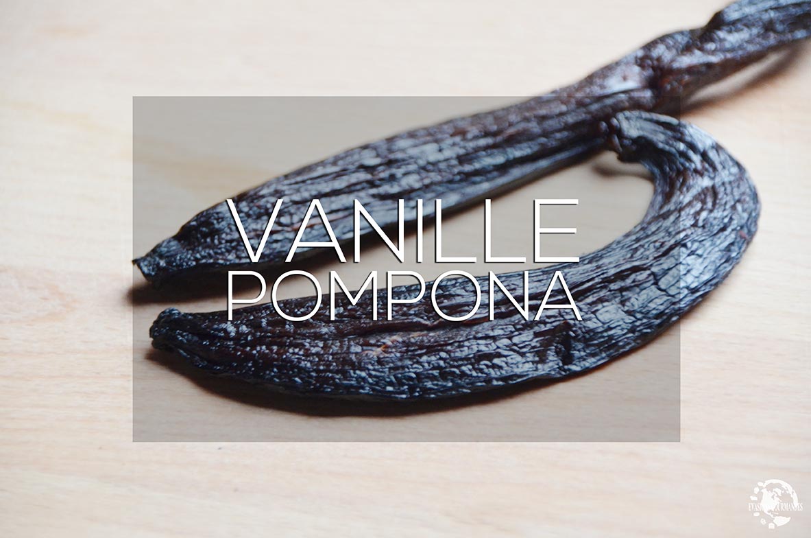 Vanille Pompona